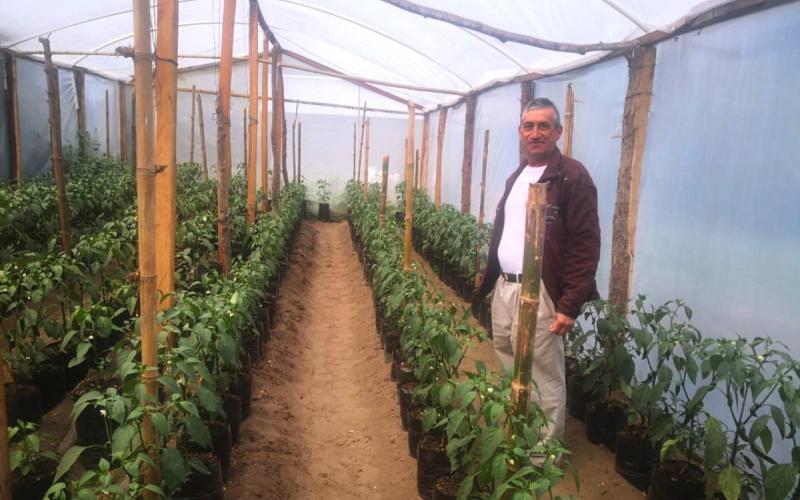 Reactivación y modernización de la actividad agropecuaria claves para el desarrollo