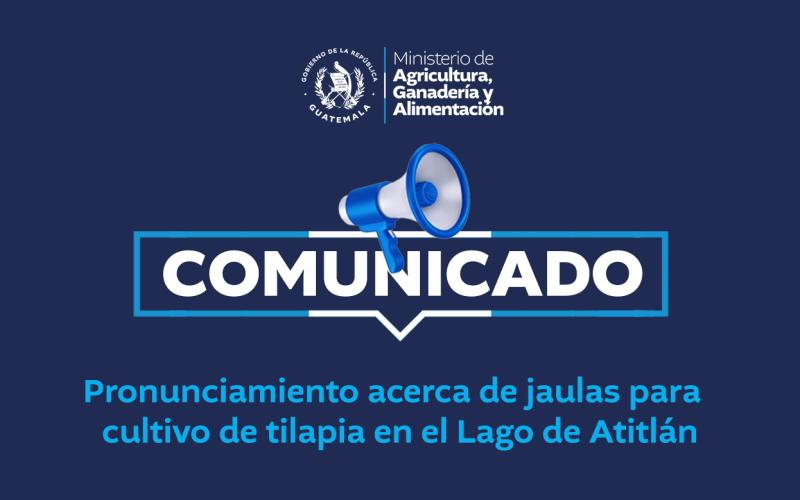 Comunicado 3-2025 | Pronunciamiento acerca de jaulas para cultivo de tilapia en el Lago de Atitlán