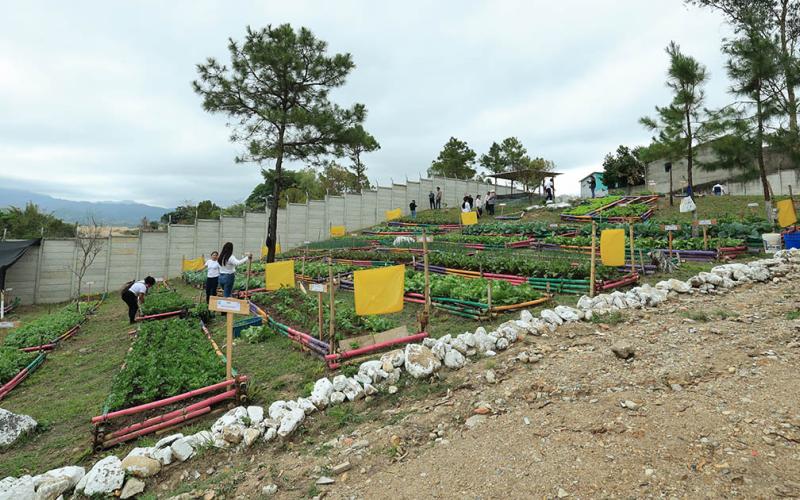 Estrategia AGROVIDA fortalecerá el desarrollo comunitario