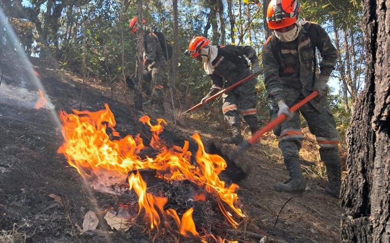 Ejército de Guatemala ha realizado 173 operaciones de supresión de incendios forestales durante el 2025. 