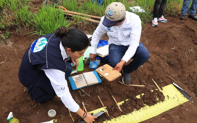 ¿Sabía que Guatemala es el único país de Centroamérica que posee un sistema de información de suelos?