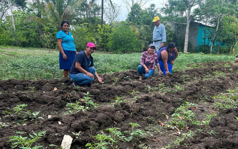 Mujeres de Santo Domingo, Poptún, reciben pilones de hortalizas