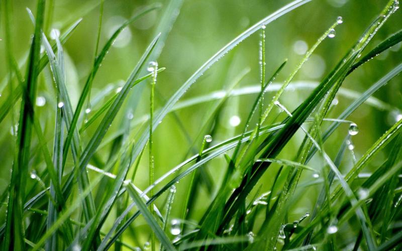 Se espera una semana de lluvias y calor