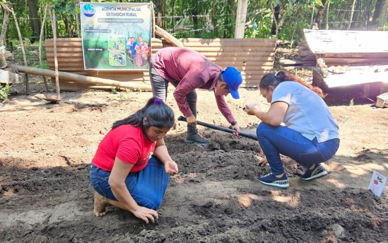 Cultivando desde casa, siembran esperanza y salud