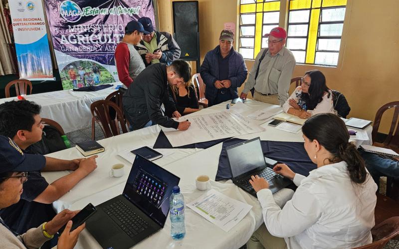 Analizan situación climática para el sector agropecuario de Quetzaltenango