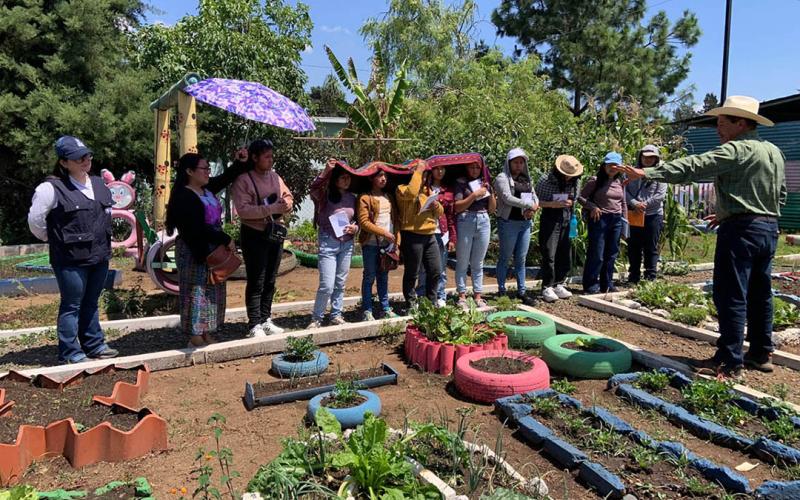 Docentes y estudiantes fortalece conocimientos agrícolas y nutricionales