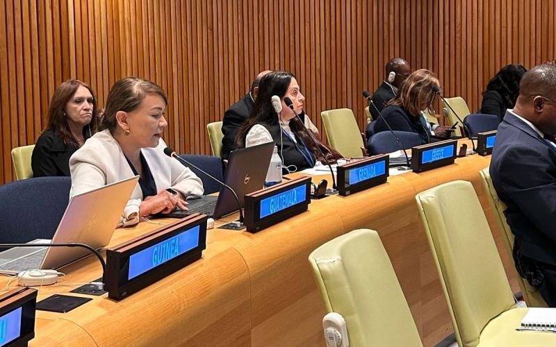 Subsecretaria de Cooperación, Iliana Peña, en su exposición durante el Foro del ECOSOC.