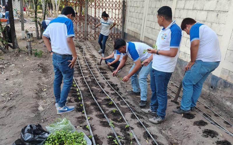 Estudiantes de Guastatoya aprenden a cultivar alimentos 