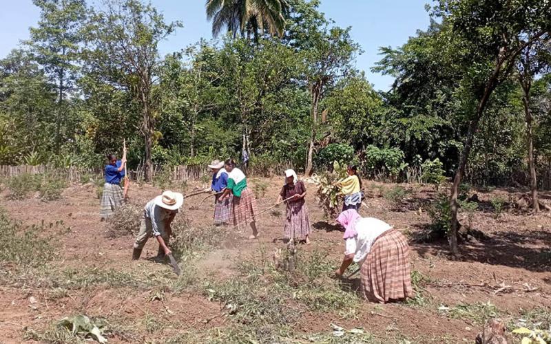 Huerto comunitario beneficiará a 20 familias de la comunidad Choctun Basila, Cobán 