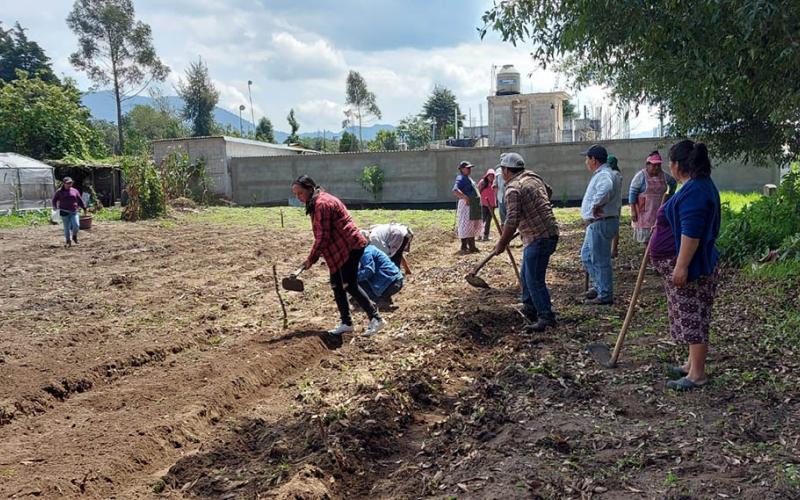 Huertos familiares y comunales fortalecen alimentación de familias en San Marcos