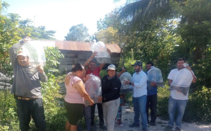 Entregan alevines para impulsar producción acuícola en Santa Ana