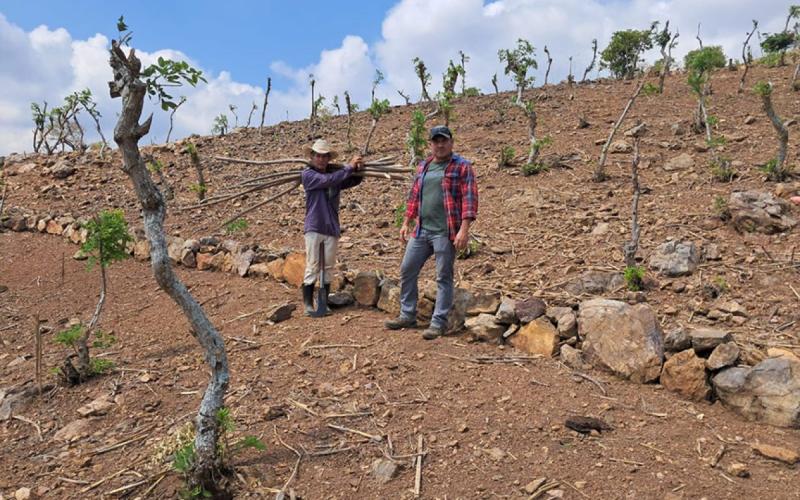 Impulsarán prácticas de agricultura regenerativa en Chiquimula y Zacapa