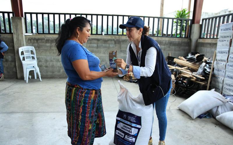 Más de 39 mil familias agricultoras recibieron semillas de hortalizas para fortalecer la agricultura familiar