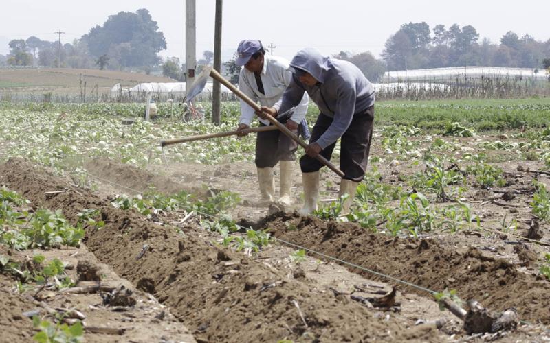 Sector agropecuario debe prepararse ante el inicio de la temporada lluviosa