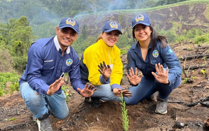 reforestacion
