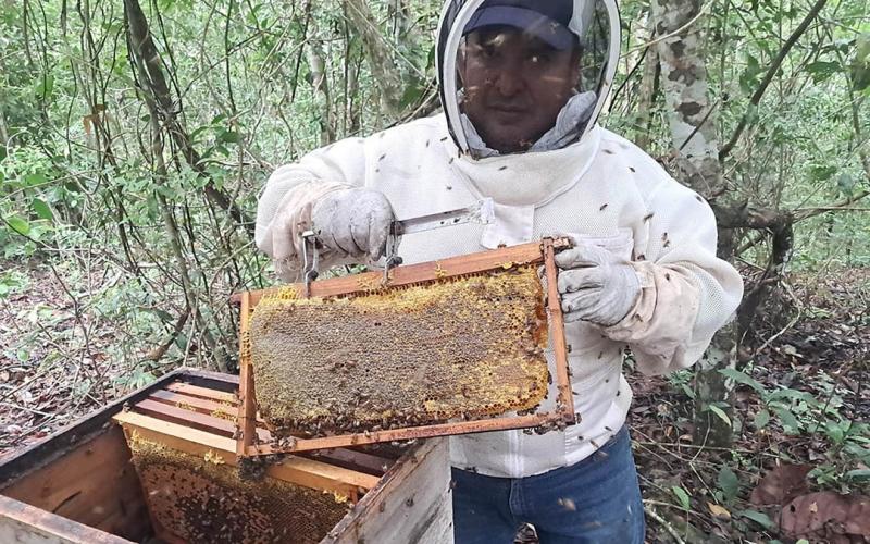 Apicultores de la zona de adyacencia reciben asistencia técnica