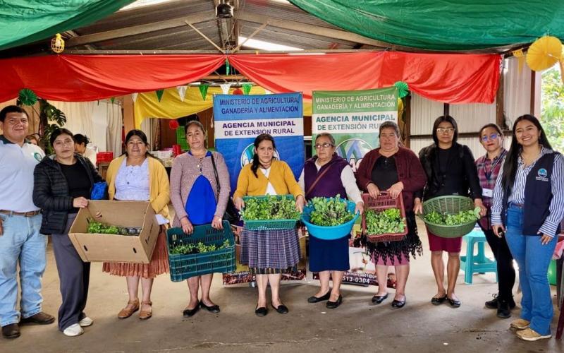 Huertos familiares fortalecen alimentación de familias en San Marcos