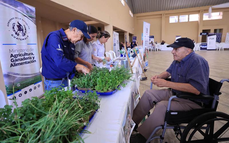 Los huertos periurbanos promueven una alimentación sana para los adultos mayores