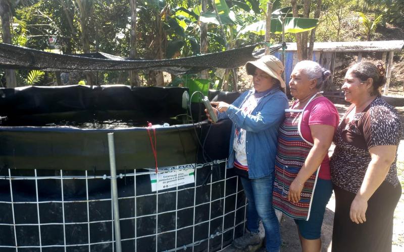 Mujeres de Melchor de Mencos comercializan primera cosecha de tilapia