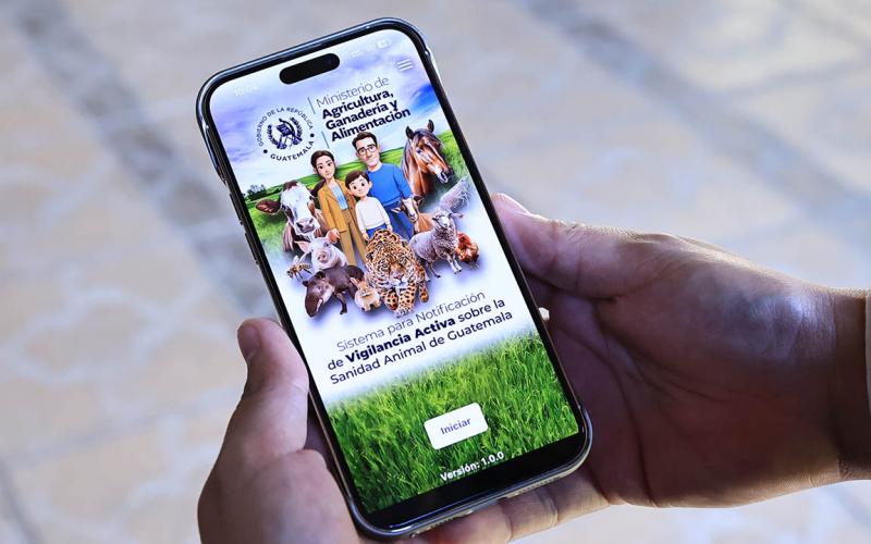 Presentan APP para reportar casos de Gusano Barrenador del Ganado