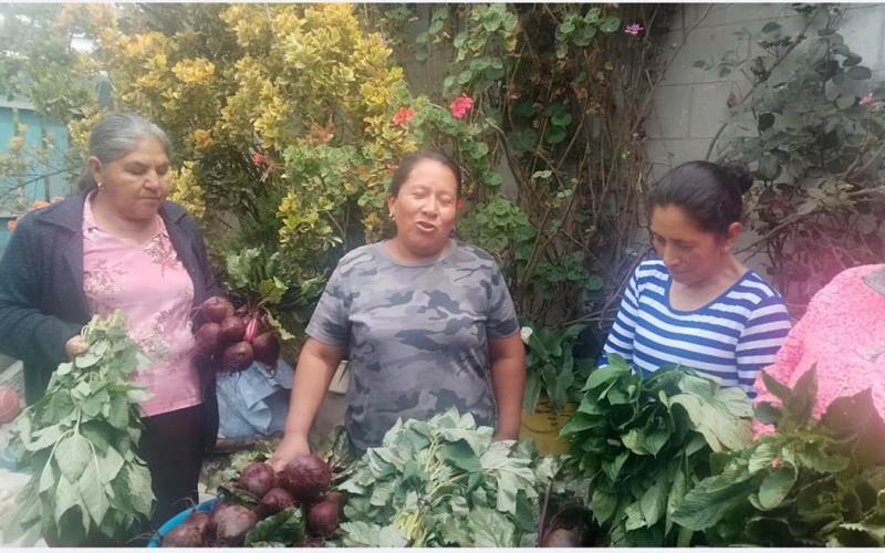 Promueven la diversificación y rotación de cultivos en San Marcos