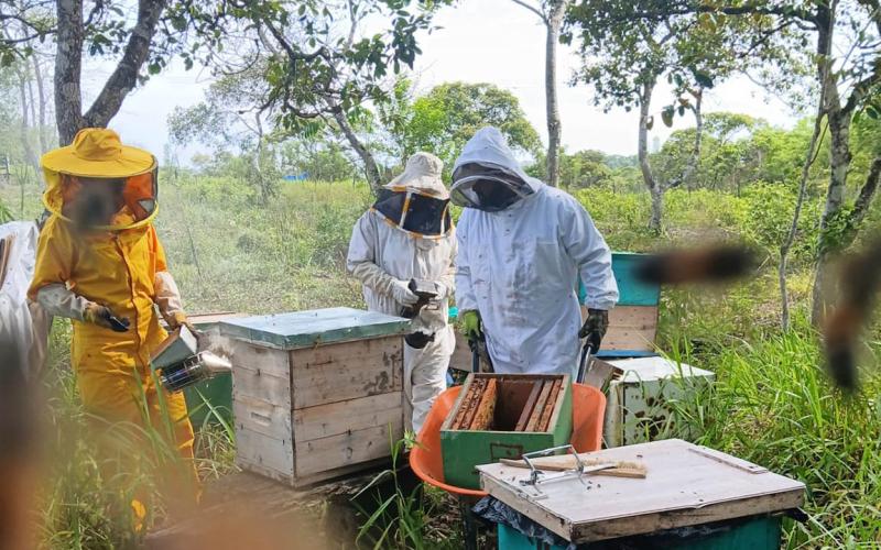 Se brinda asistencia técnica en manejo de apiarios en El Chal