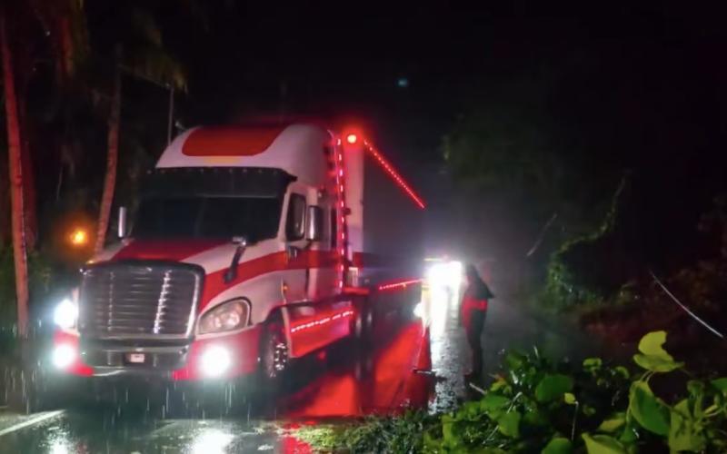 Ni la hora ni el clima detienen a Provial: brigadas atienden emergencia por árbol caído en Morales, Izabal