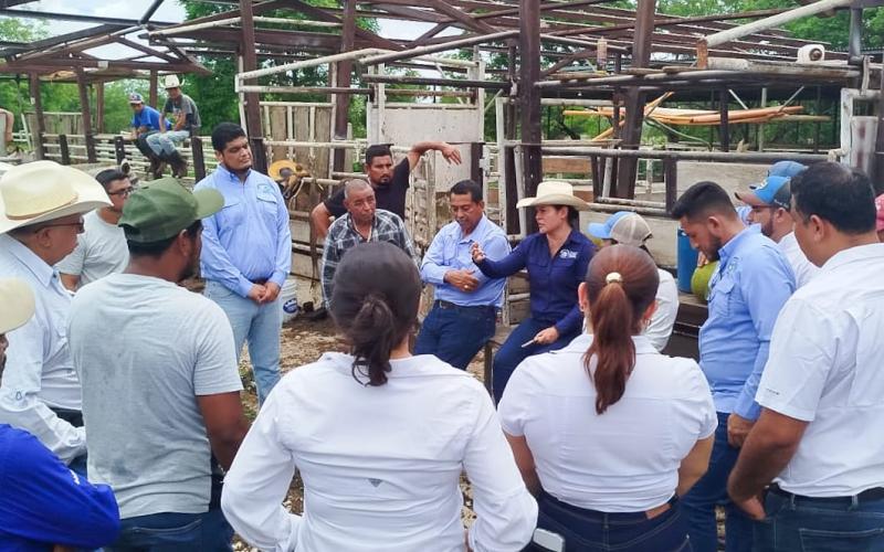 Reafirman compromiso con el desarrollo agrícola y pecuario de Petén