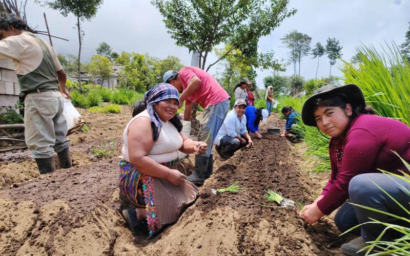 San Marcos: implementación de huertos es clave para impulsar la actividad productiva