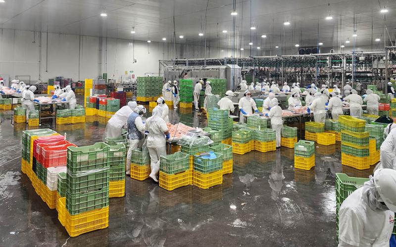 Emiten licencias sanitarias de funcionamiento de rastros