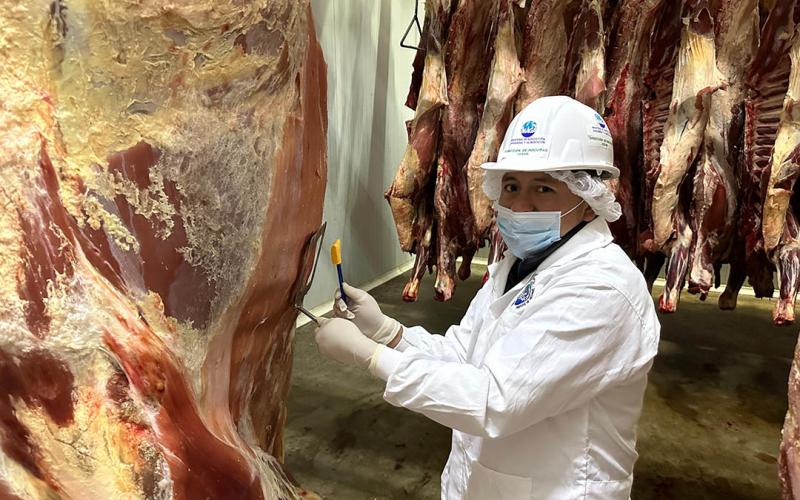 Emiten más de 600 licencias sanitarias para almacenamiento seguro de carne