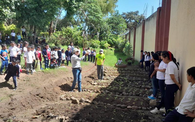 Huerto escolar de San Miguel Petapa: clave para la seguridad alimentaria y aprendizaje