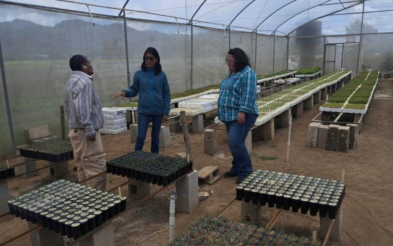 Impulsan emprendimiento en procesamiento de frutas