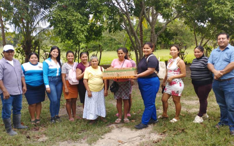 Impulsan producción avícola en Petén para combatir inseguridad alimentaria
