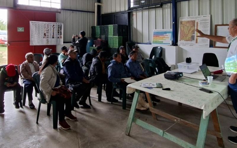 Productores de aguacate aprenden manejo de plagas cuarentenarias