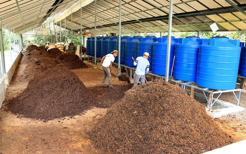 Productores fortalecen agricultura sostenible con abono orgánico