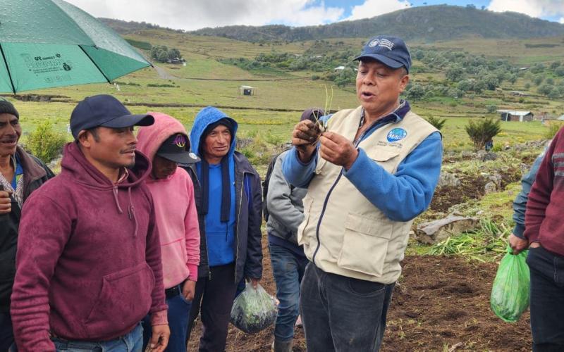 Huertos familiares fortalecen la seguridad alimentaria en Huehuetenango
