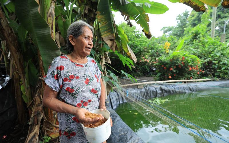 El estanque que brinda sustento y desarrollo en Masagua