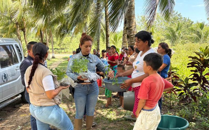 Entrega de pilones impulsa la agricultura familiar en Izabal