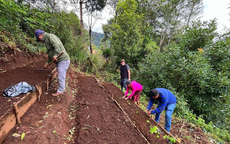 Huertos productivos fortalecen medios de vida en Colotenango