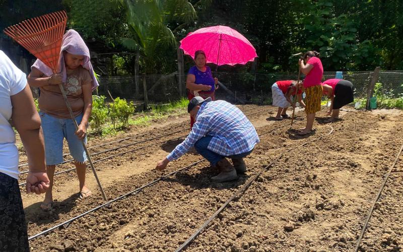 Impulsan cultivos sostenibles con nuevo huerto comunal en Sayaxché