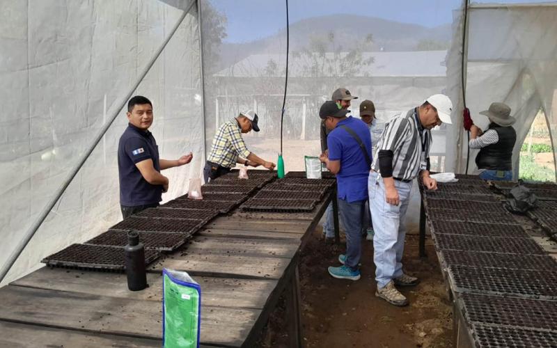 Pilones brindan más oportunidades a productores de Totonicapán