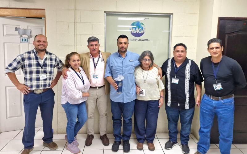 Guatemala abre camino a la importación de genética ovina mexicana