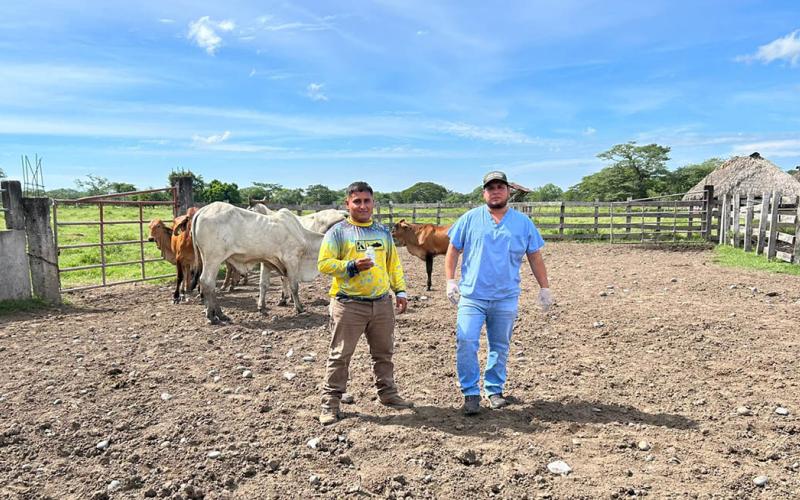 Con acciones de combate al Gusano Barrenador se fortalece la sanidad animal