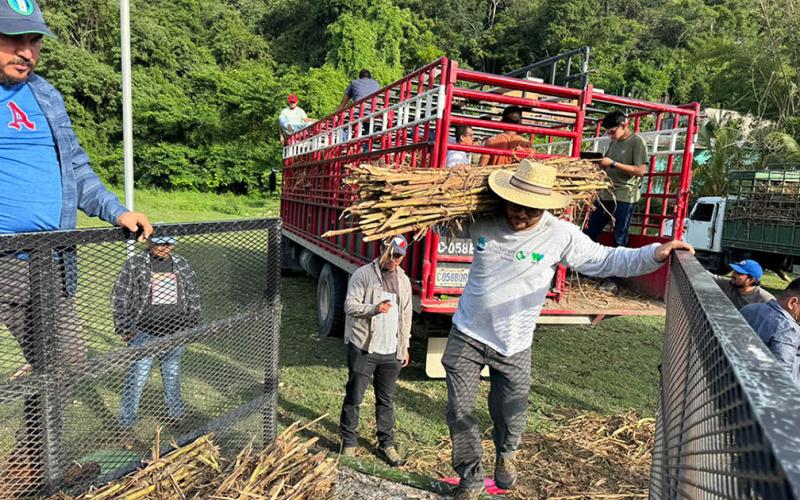 Crece el apoyo a fincas que practican la ganadería sin deforestación