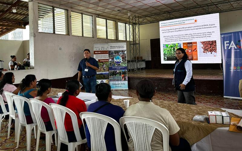 Extensionistas de Zacapa y Chiquimula participan en taller de la FAO sobre temas clave