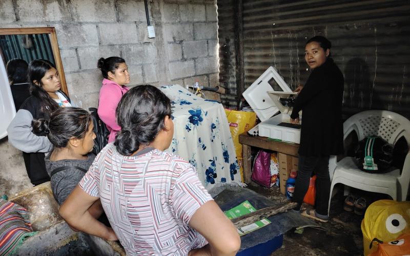 Mujeres de San Miguel Petapa optimizan capacidades en producción avícola