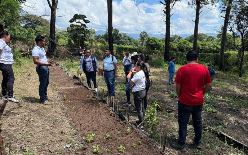 Directores de centros educativos de Santa Rosa reciben herramientas y capacitación para huertos escolares