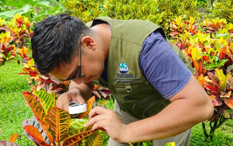 Emitidos más de 10 mil certificados fitosanitarios de exportación de productos agrícolas no procesados