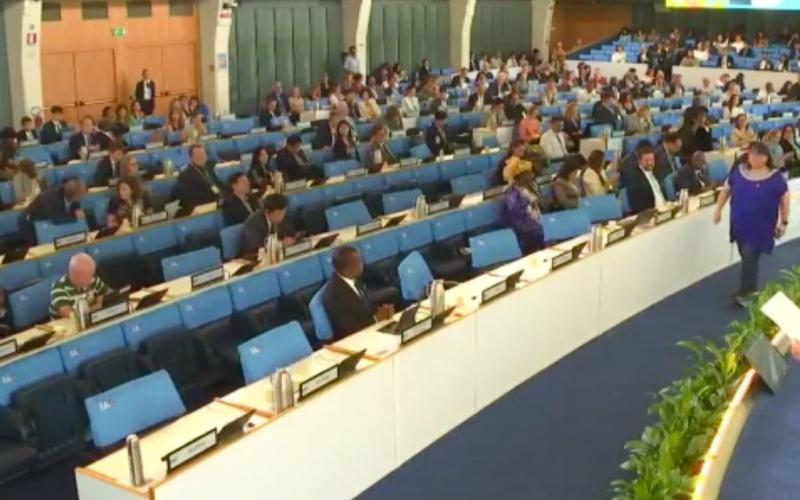 Guatemala presenta estrategia para una ganadería sostenible en conferencia mundial de la FAO